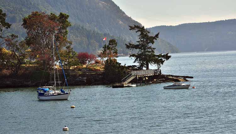 harbor scene